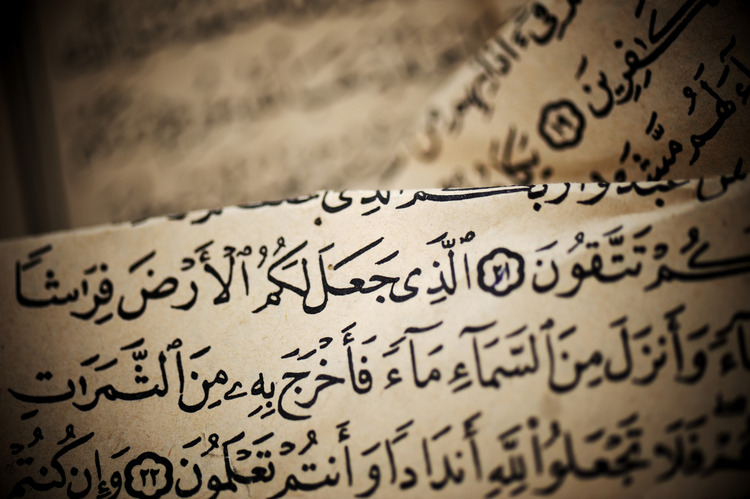 Why Everyone Is Turning to Arabic in 2025 — And What You’re Missing